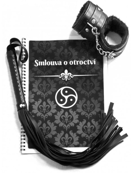 BDSM smlouva o otroctví , Paní a otrok