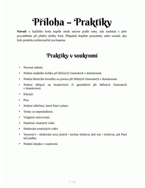 BDSM smlouva o otroctví , Paní a otrok